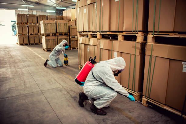 Best Pest Inspection Near Me  in Morrisville, NY