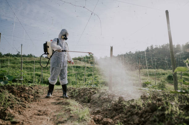 Best Best Pest Control Companies  in Morrisville, NY