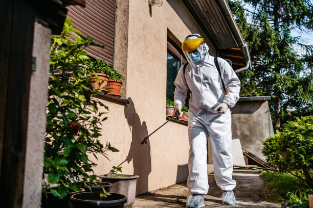 Best Mosquito Control Services  in Morrisville, NY