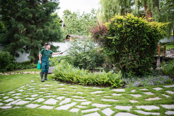Bird Control in Morrisville, NY