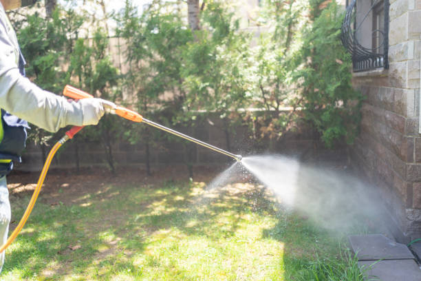 Best Pest Control Treatment  in Morrisville, NY