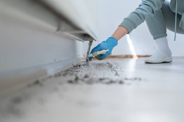 Best Insect Control  in Morrisville, NY